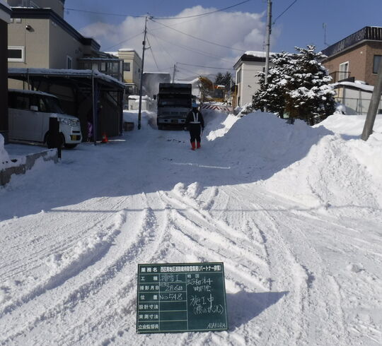 除排雪業務